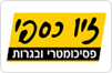 זיו כספי- פסיכומטרי ובגרויות